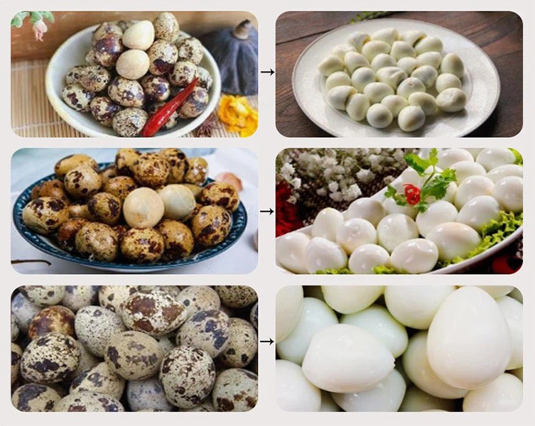 Boiled Quail Egg Shell Sheller Boiled Quail Egg Shell Sheller